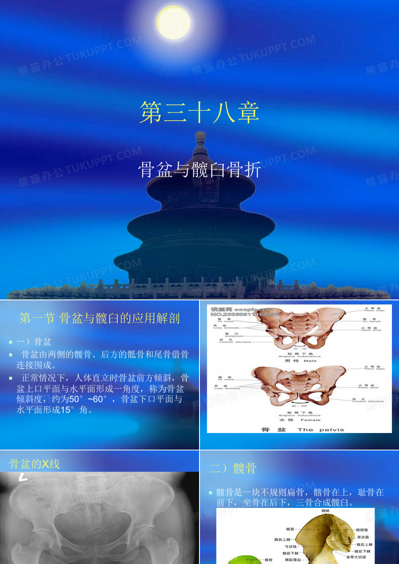 骨盆与髋臼骨折