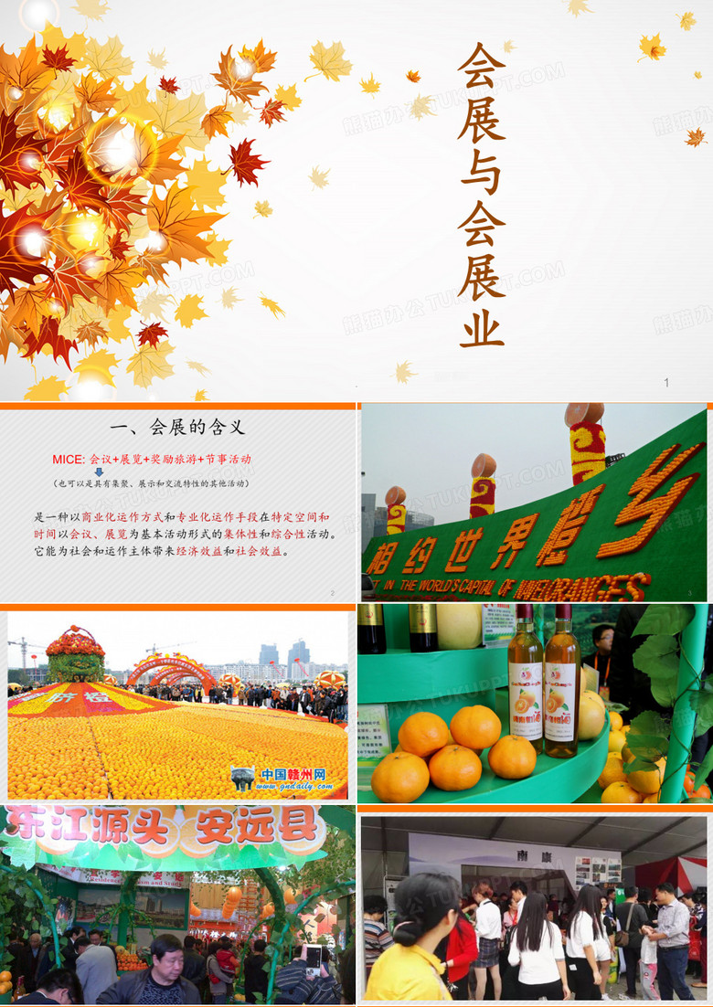 会展与会展业PPT课件