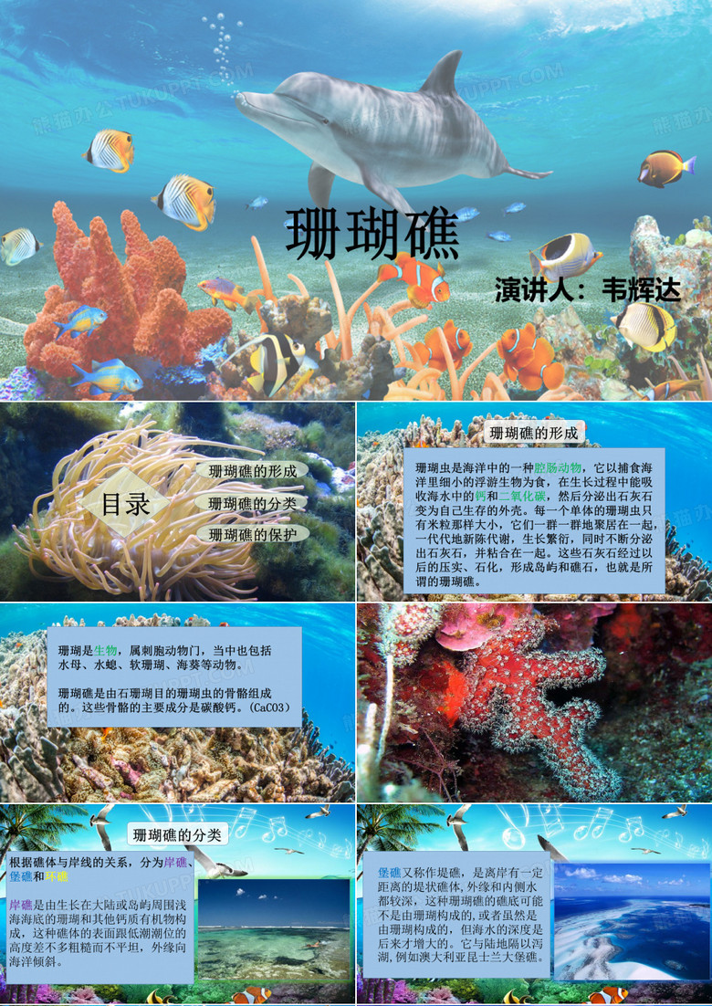 珊瑚礁