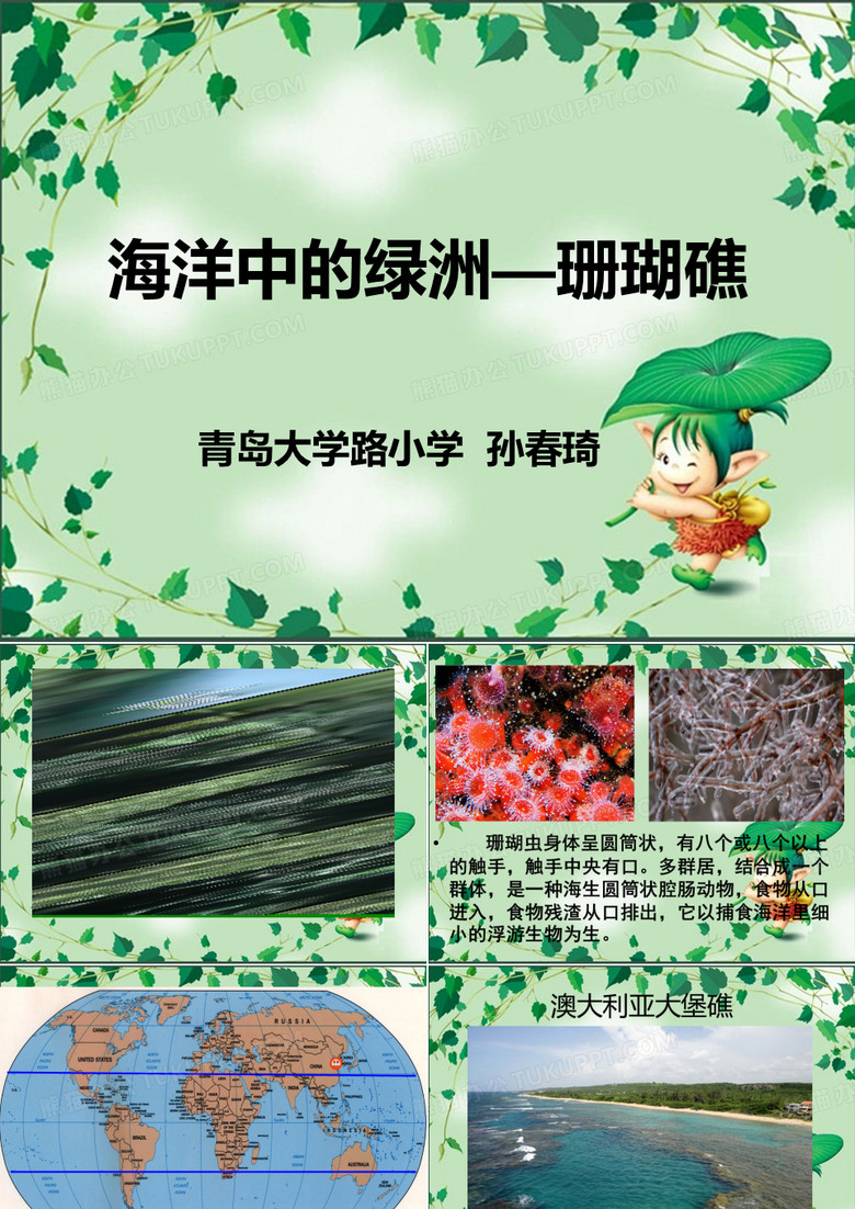 珊瑚礁的ppt