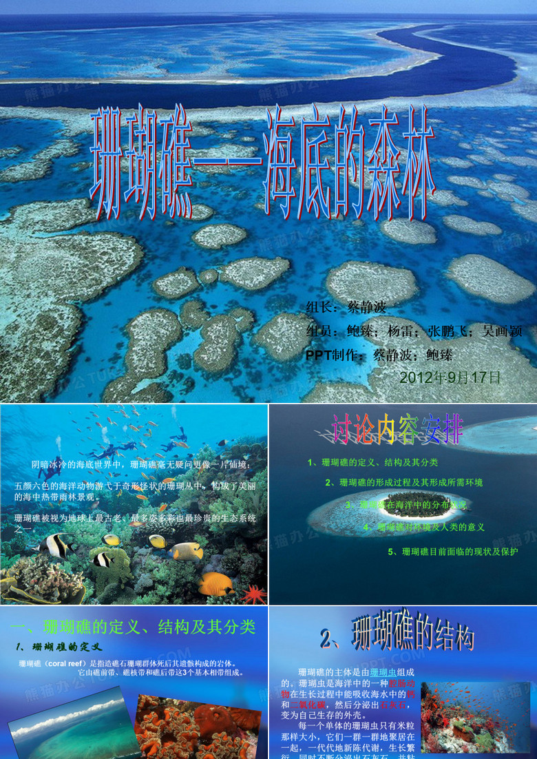 珊瑚礁——海底森林