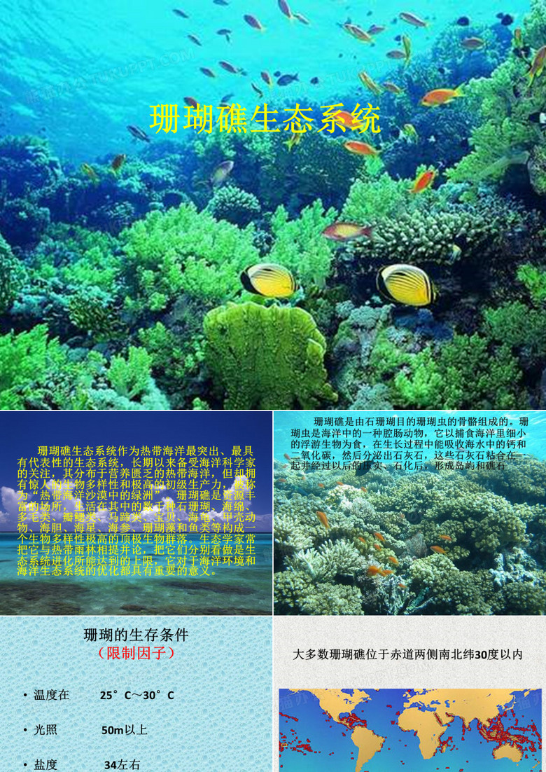 珊瑚礁生态系统