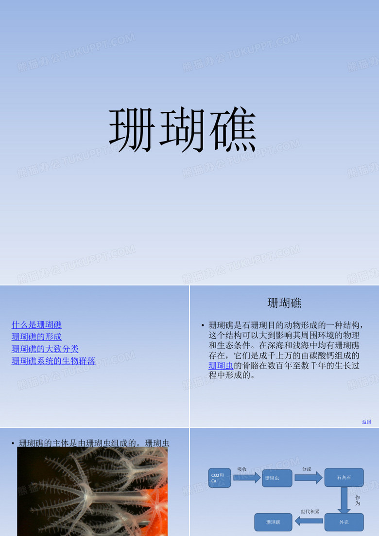 珊瑚礁生态系统特点