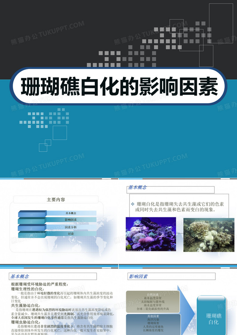 珊瑚礁白化的影响因素 PPT