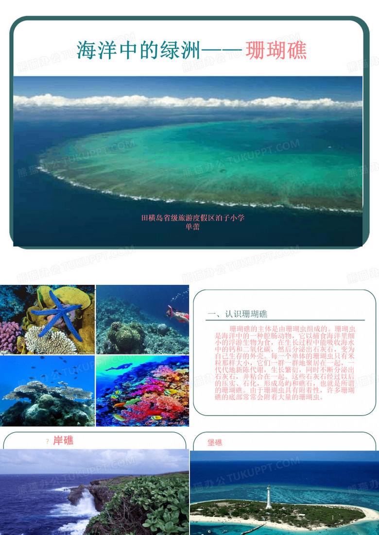 海洋中的绿洲珊瑚礁课件