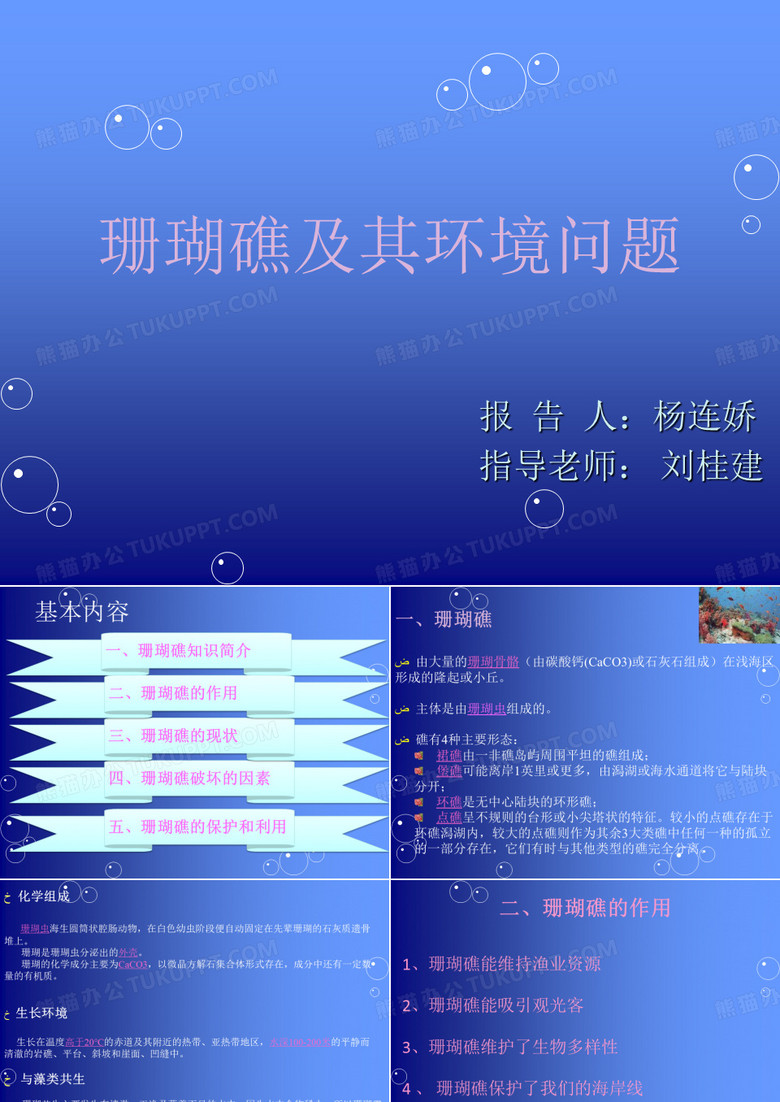 珊瑚礁及其环境问题 (2)