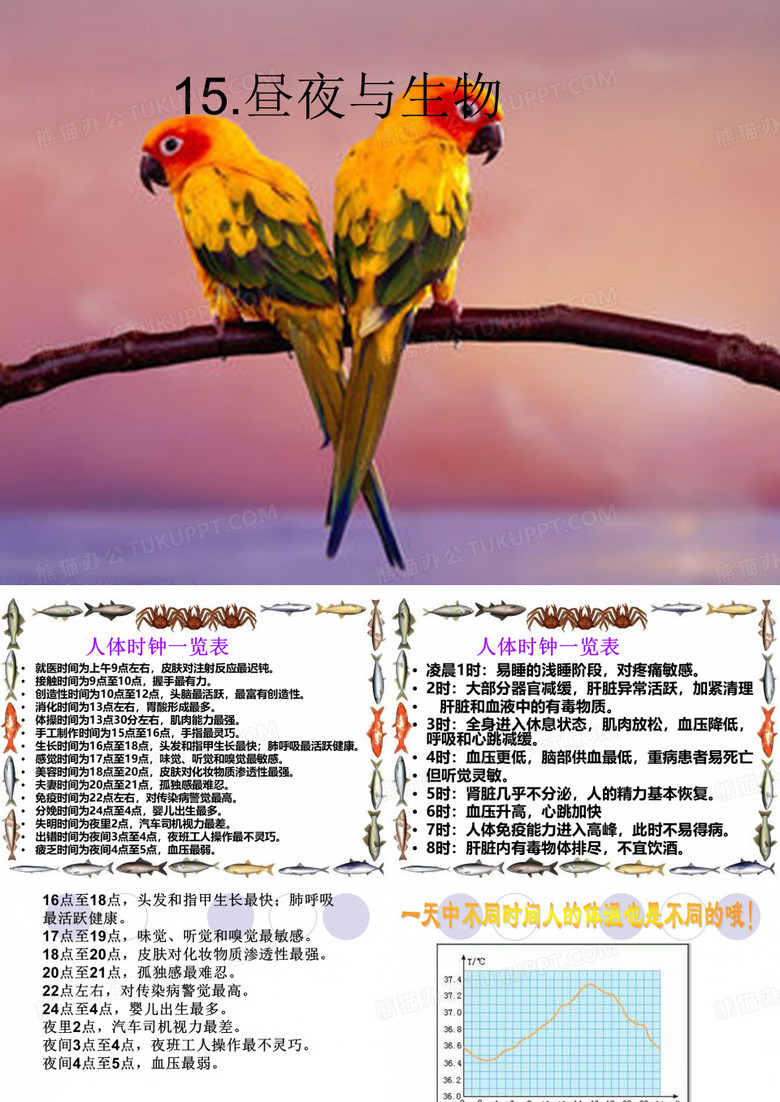 青岛版六年级科学15昼夜与生物