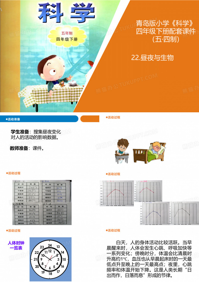 四年级下册科学《昼夜与生物》青岛版