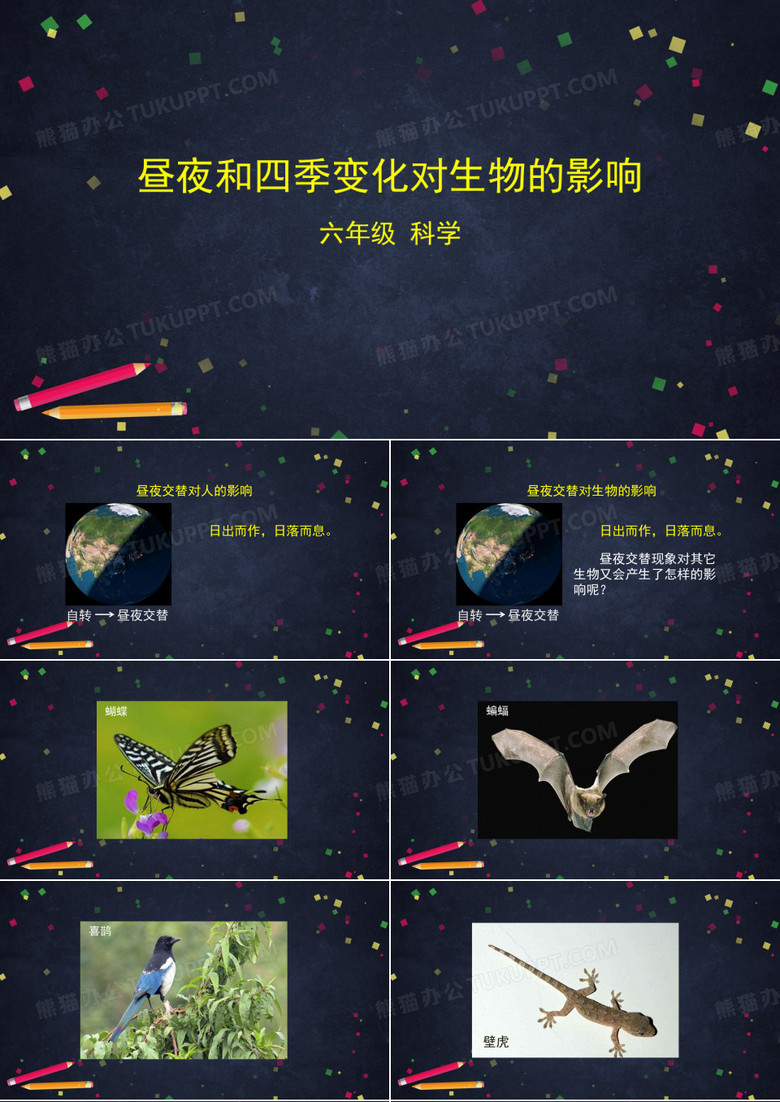 教科版小学科学六年级上册2.7 昼夜和四季变化对生物的影响 课件