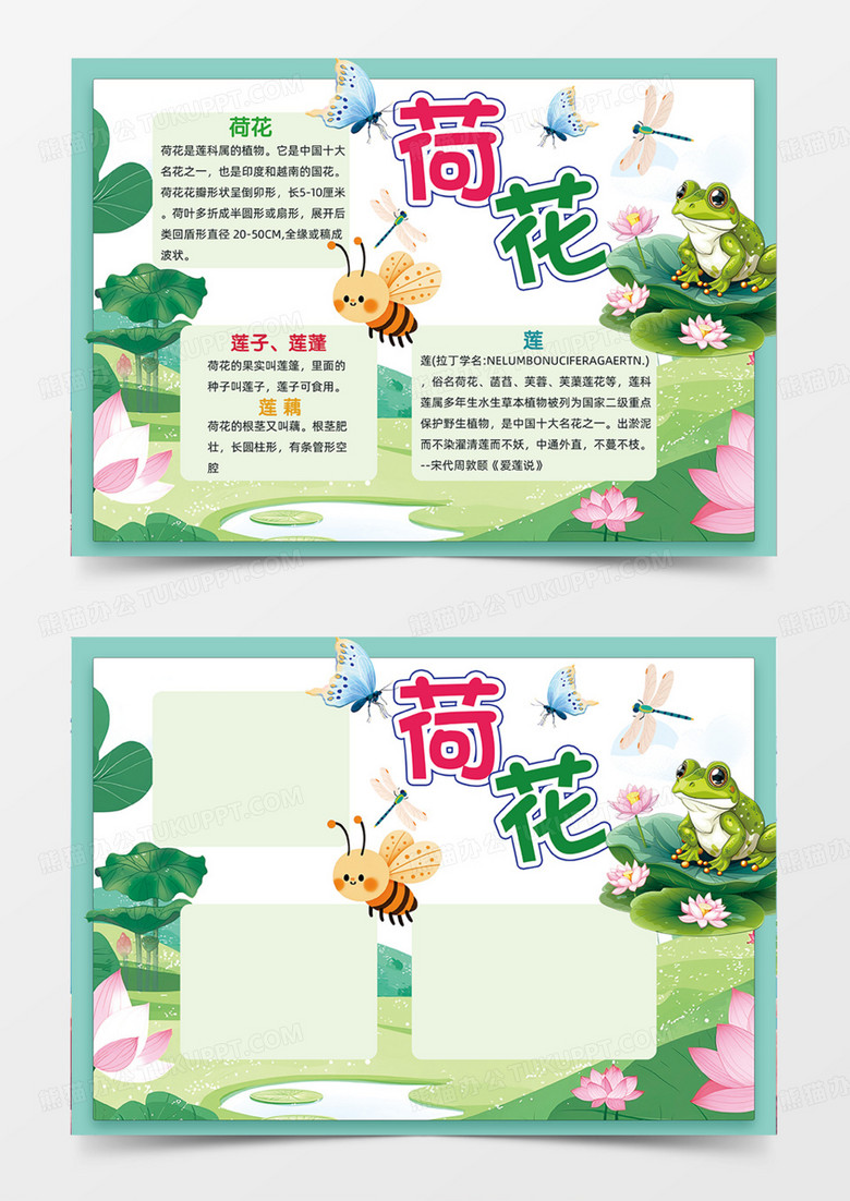 蓝绿色荷花莲藕荷叶插画简约手抄报