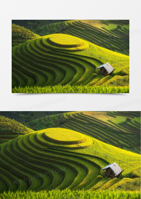 唯美丘陵梯田风景