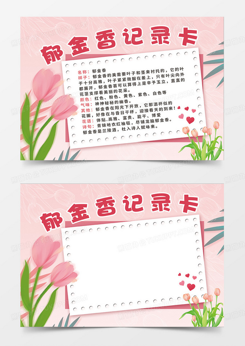 粉色简约唯美郁金香记录卡小报手抄报