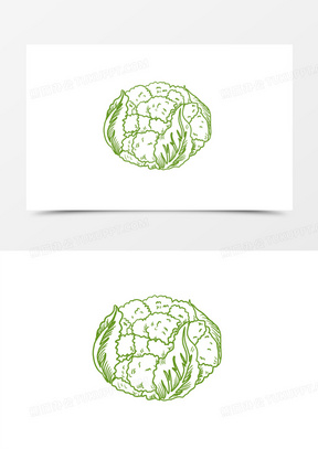 手绘线描蔬菜椰菜花简笔画装饰元素