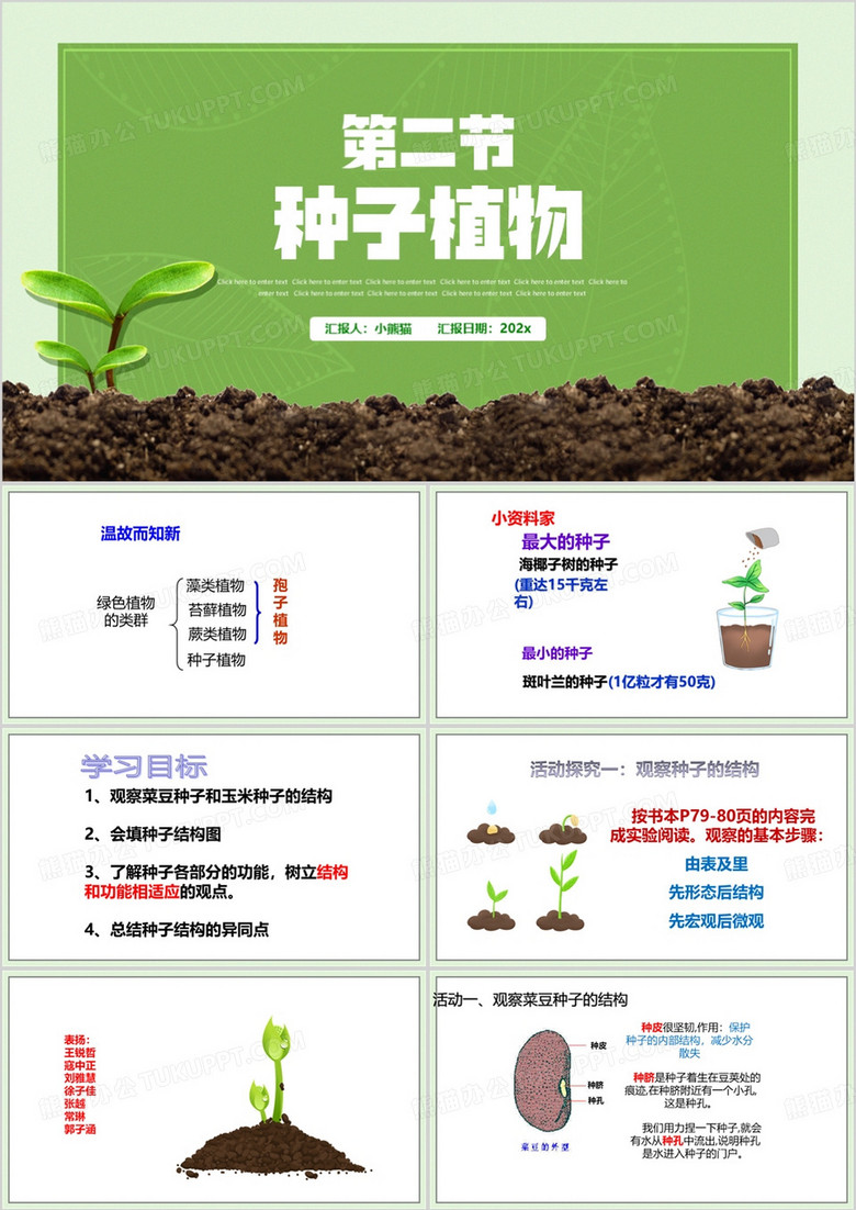 绿色简约风种子植物公开课PPT模板