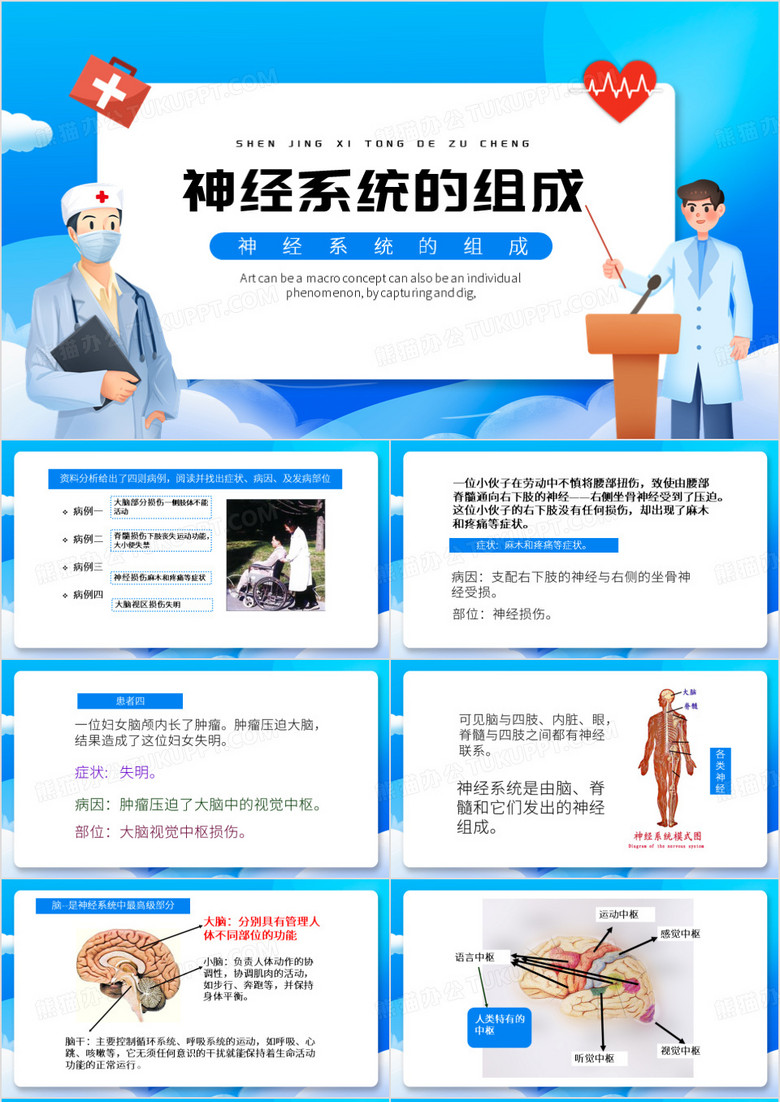 蓝色卡通风神经系统的组成PPT模板