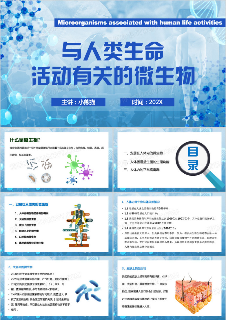 蓝色简约风人体有关的微生物PPT模板