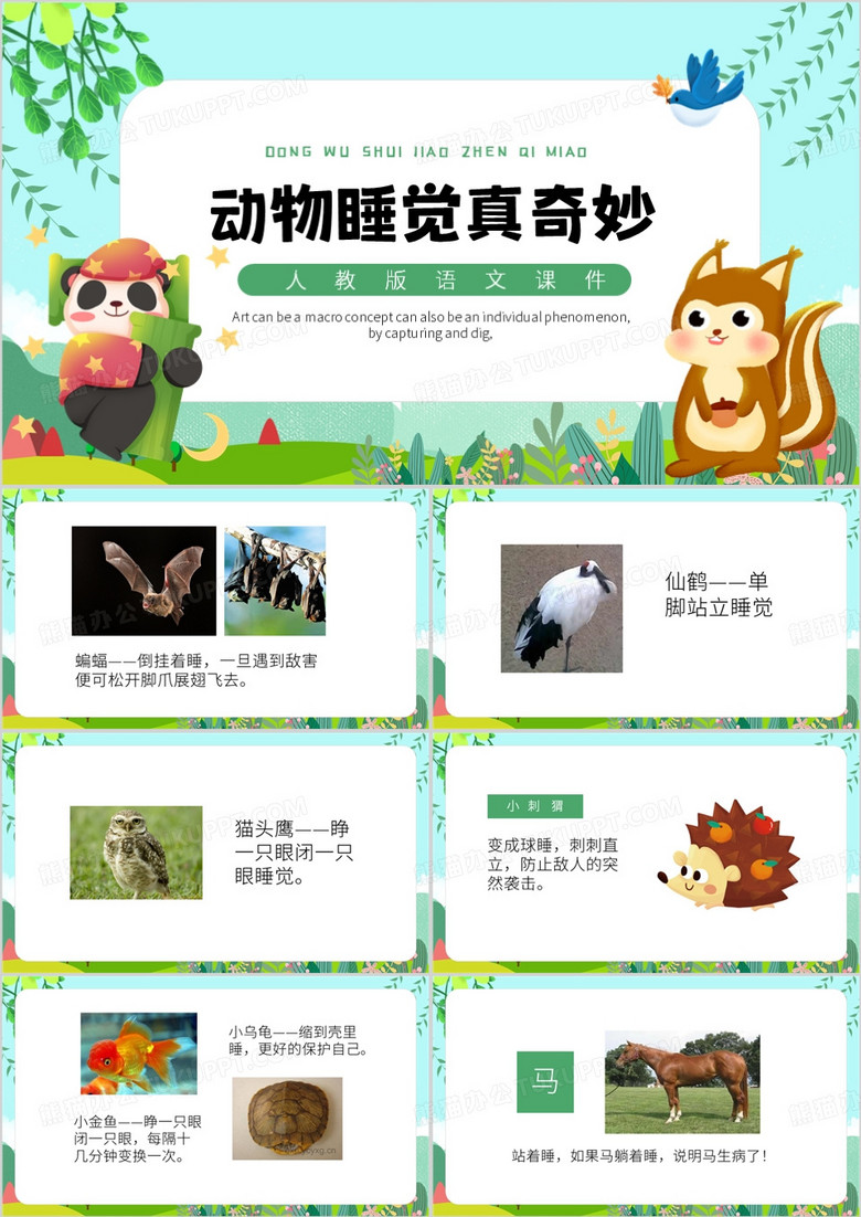 绿色卡通风动物睡觉真奇妙PPT模板