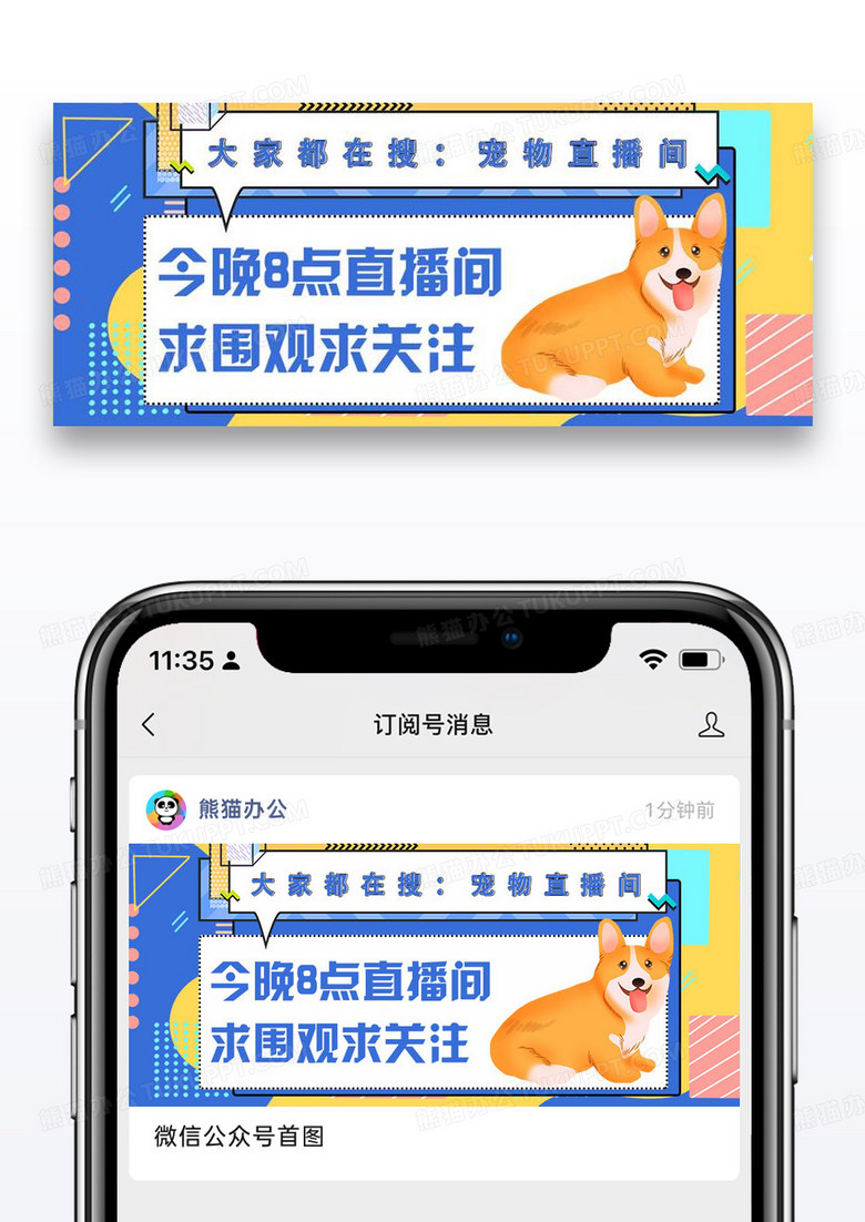 宠物直播求关注公众号封面配图图片设计