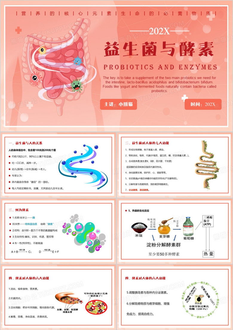 粉色简约风益生菌与酵素PPT模板
