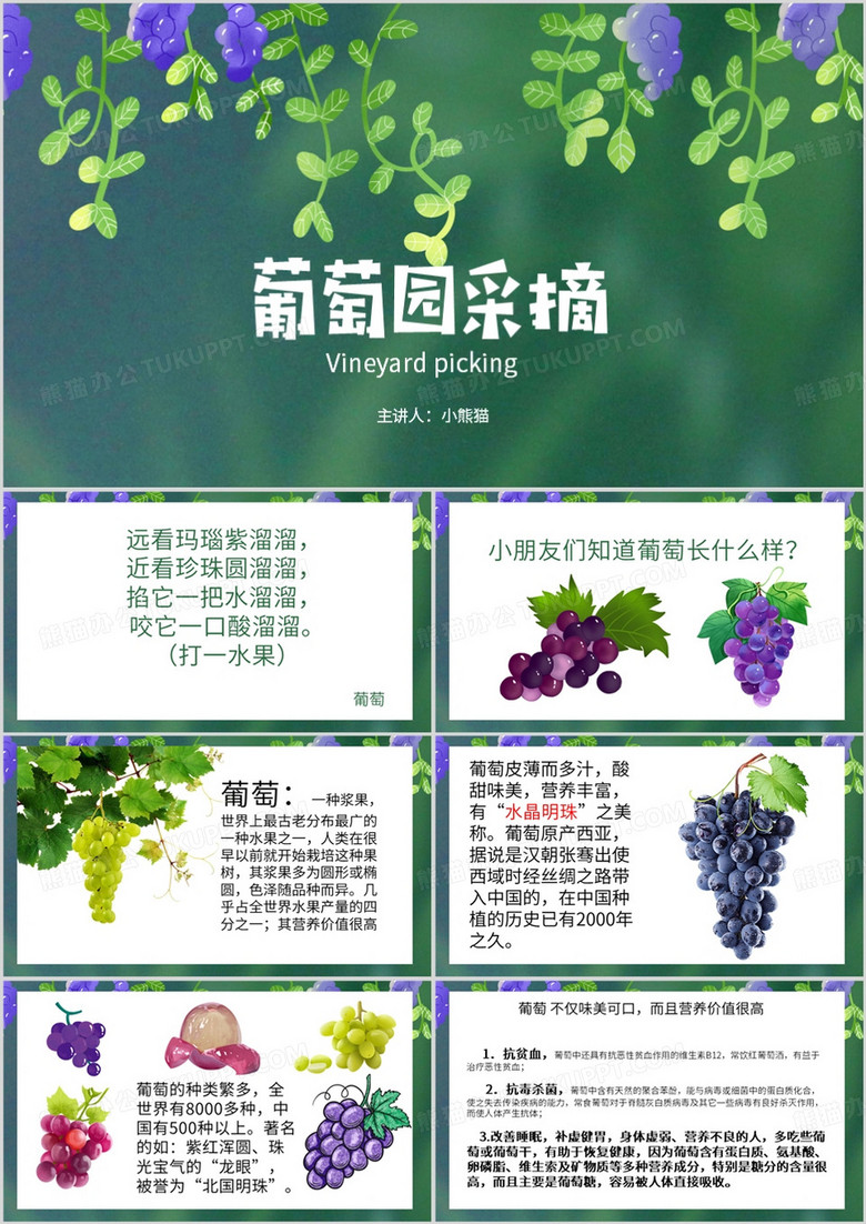 绿色简约风葡萄园采摘PPT模板