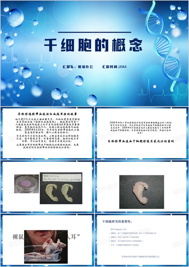 蓝色简约风干细胞的概念PPT模板