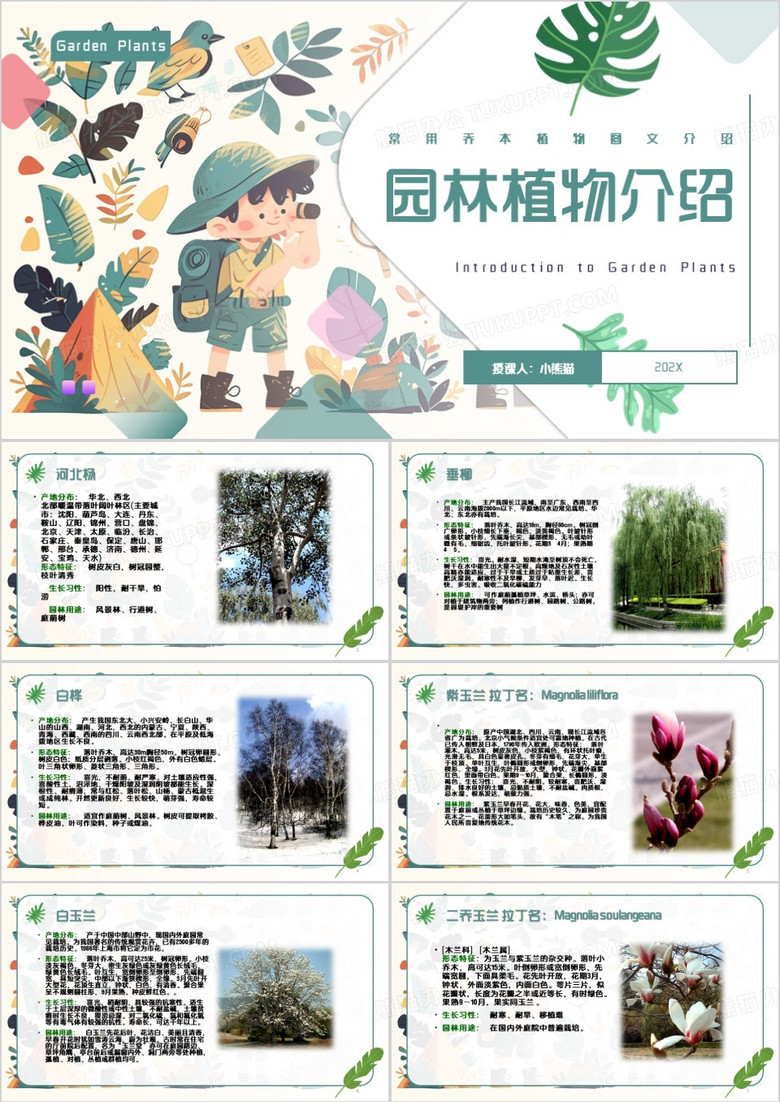 绿色清新风园林植物介绍PPT模板