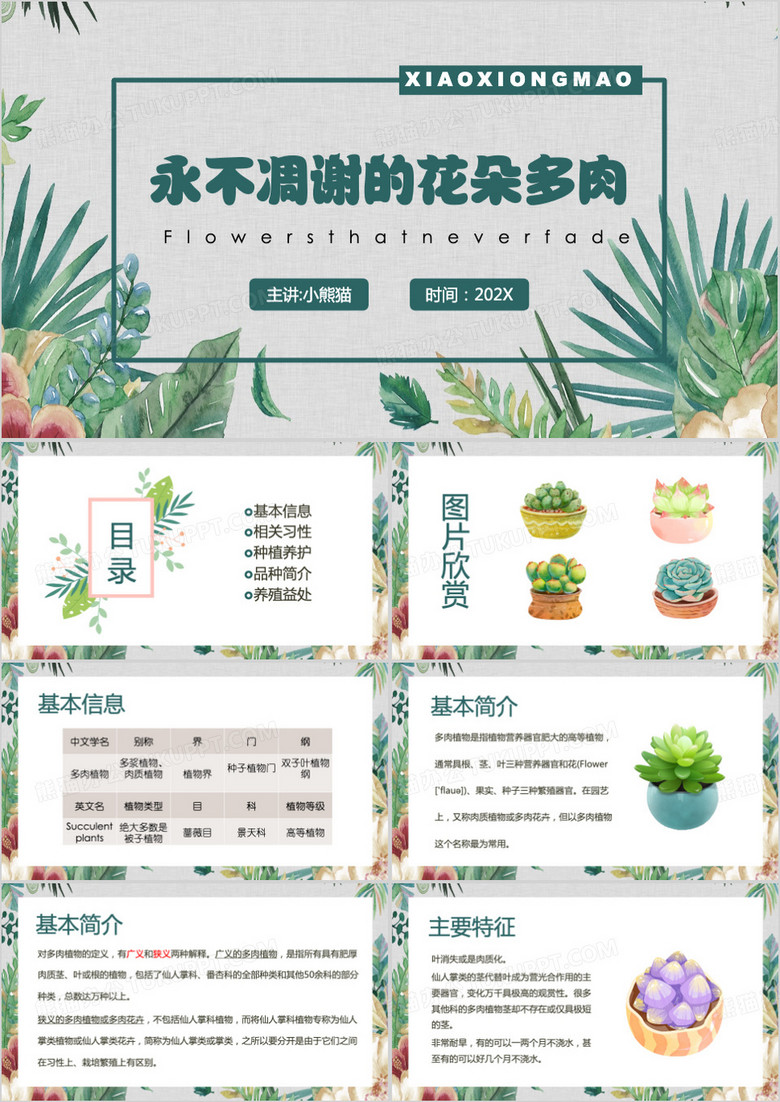 绿色清新风多肉植物介绍PPT模板