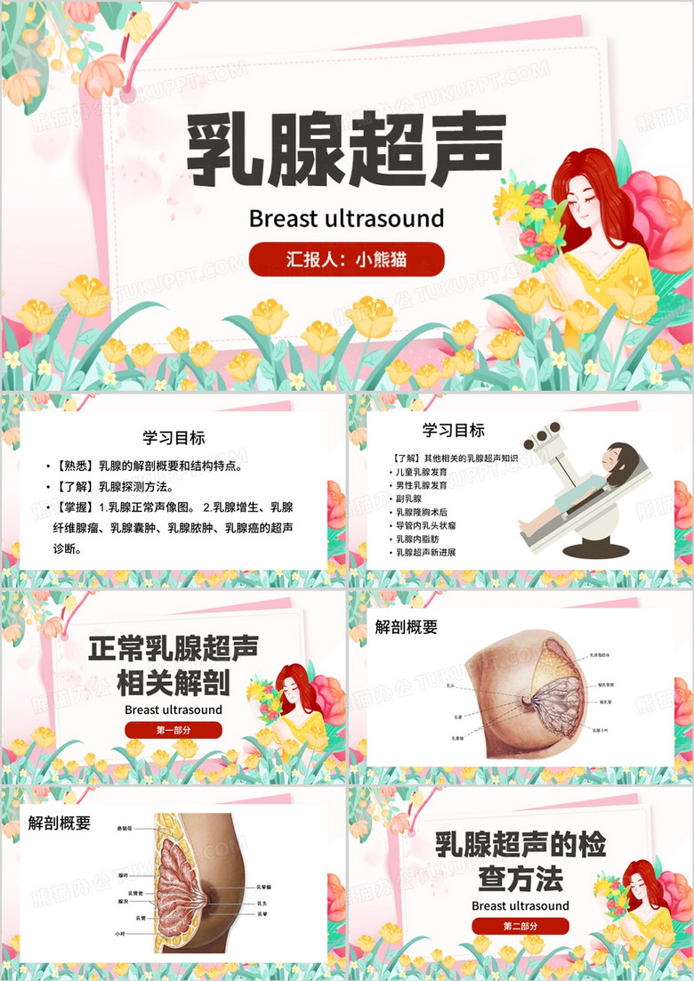 粉色清新风超声诊断学乳腺超声PPT模板