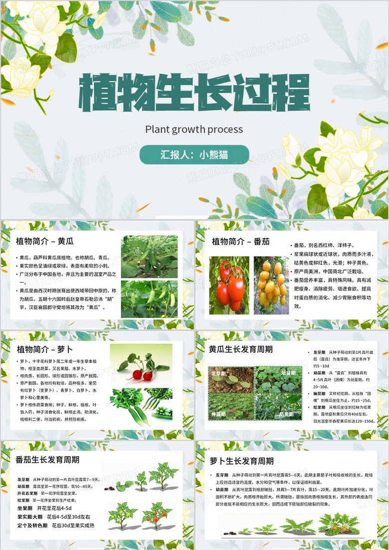 绿色清新风植物生长过程PPT模板