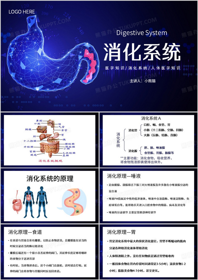 蓝色简约风医疗知识消化系统PPT模板