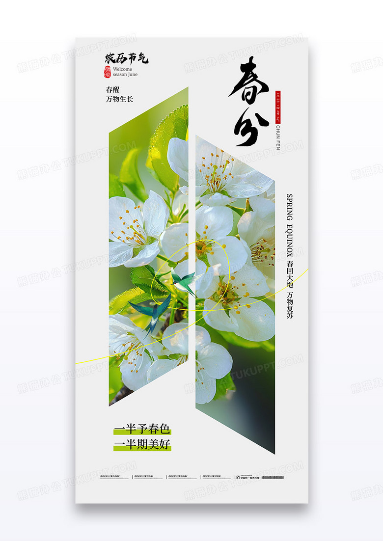 实拍摄影图传统二十四节气春分宣传海报