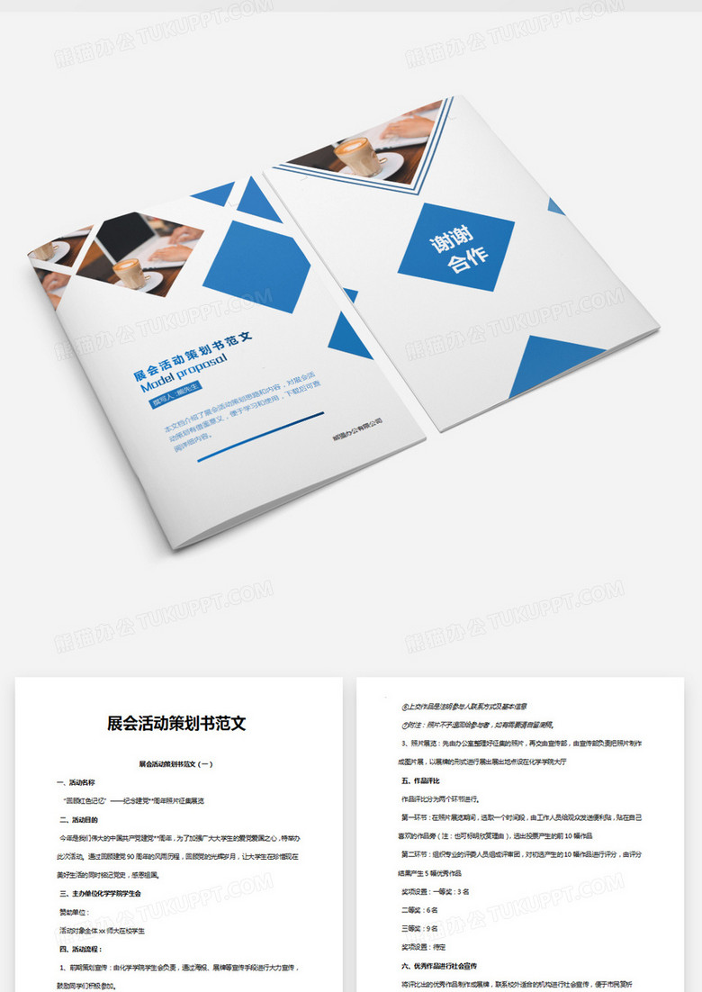 网站设计方案计划书 true