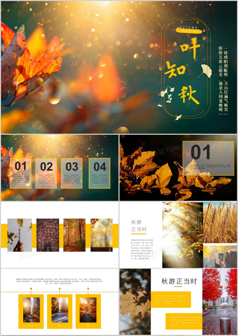一葉知秋秋游正當(dāng)時(shí)通用PPT模板