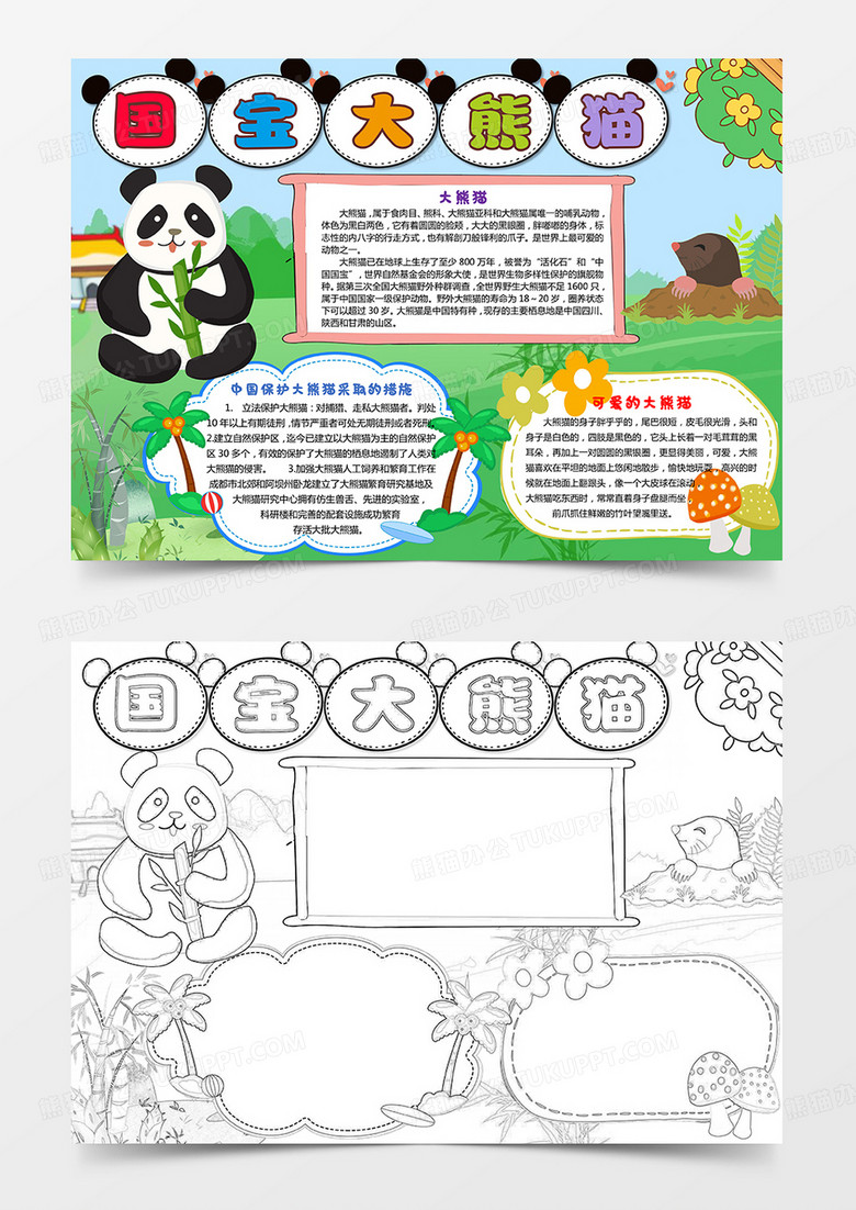 国宝大熊猫小报模板可爱的大熊猫保护动物线描手抄报素材