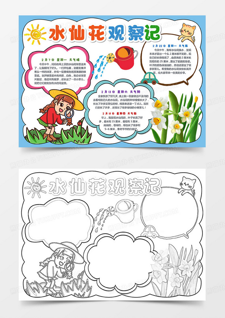 水仙花观察日记小报手抄报种植小报