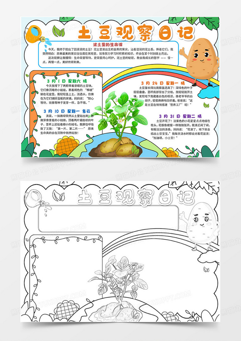 手绘卡通土豆生长记手抄报版面设计卡通小报手抄报