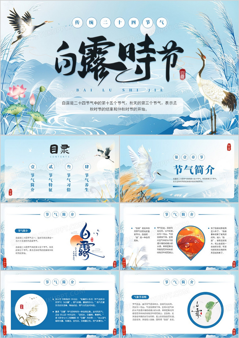 蓝色中国风传统二十四节气之白露PPT模板