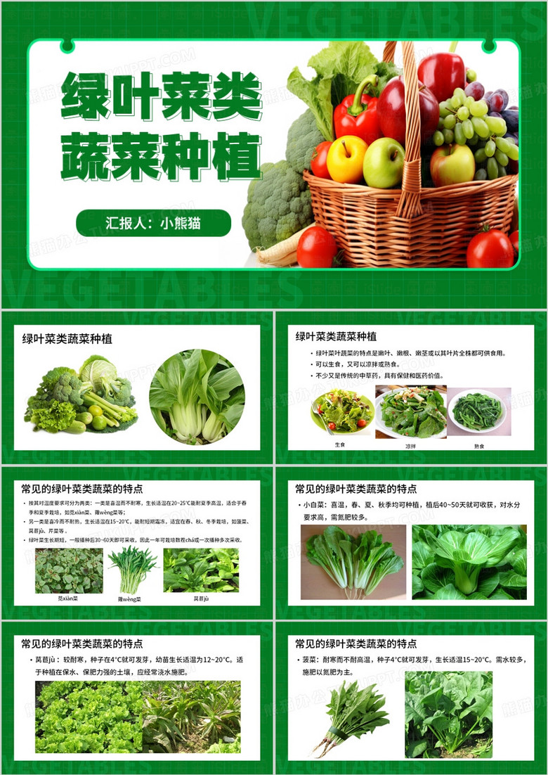 绿色简约风绿叶菜类蔬菜种植PPT模板