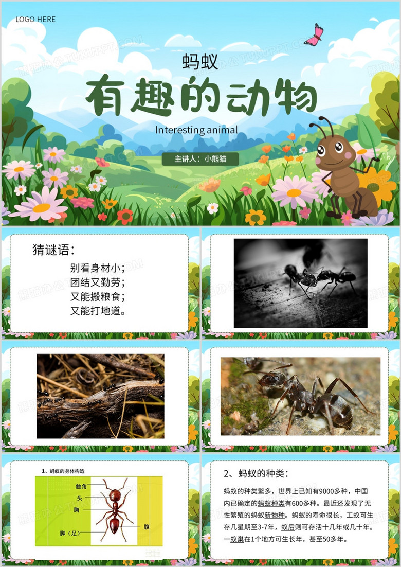 绿色简约风有趣的动物PPT模板