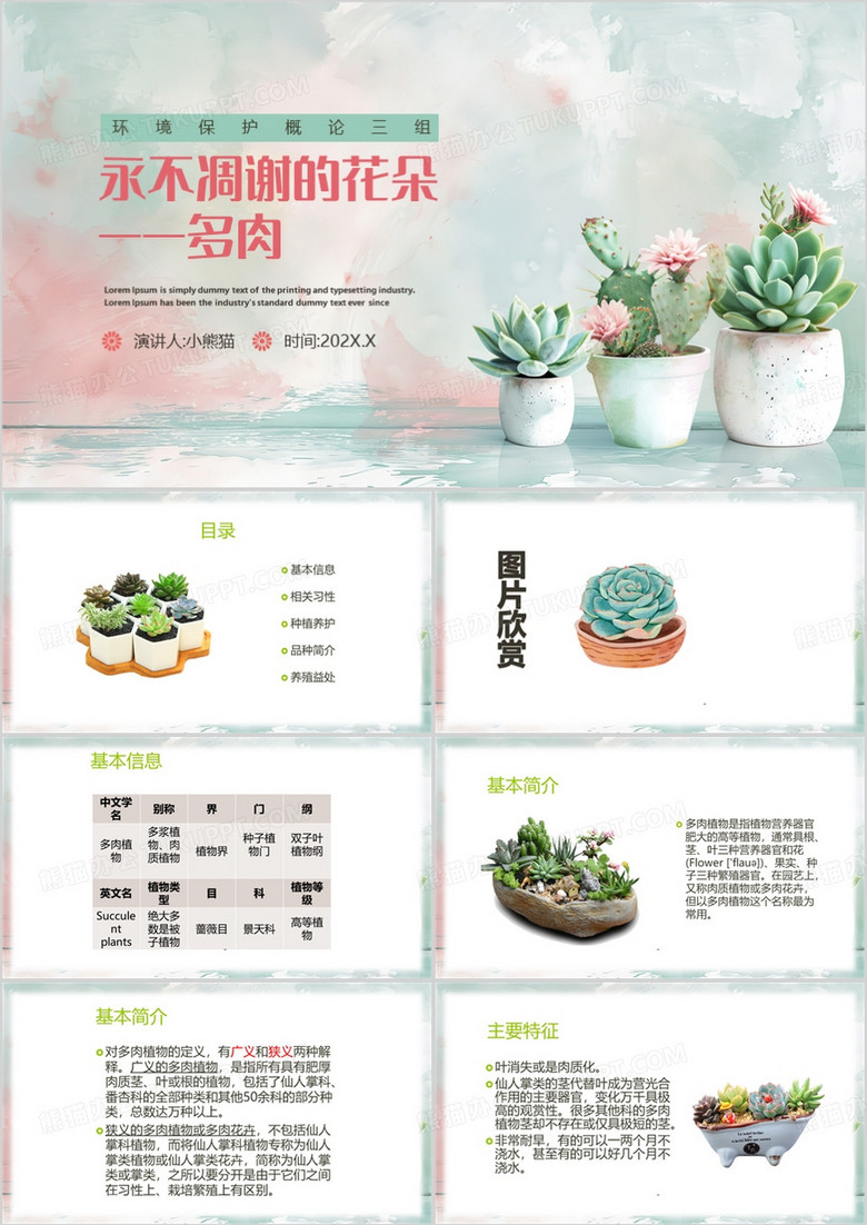 绿色清新风多肉植物介绍PPT模板