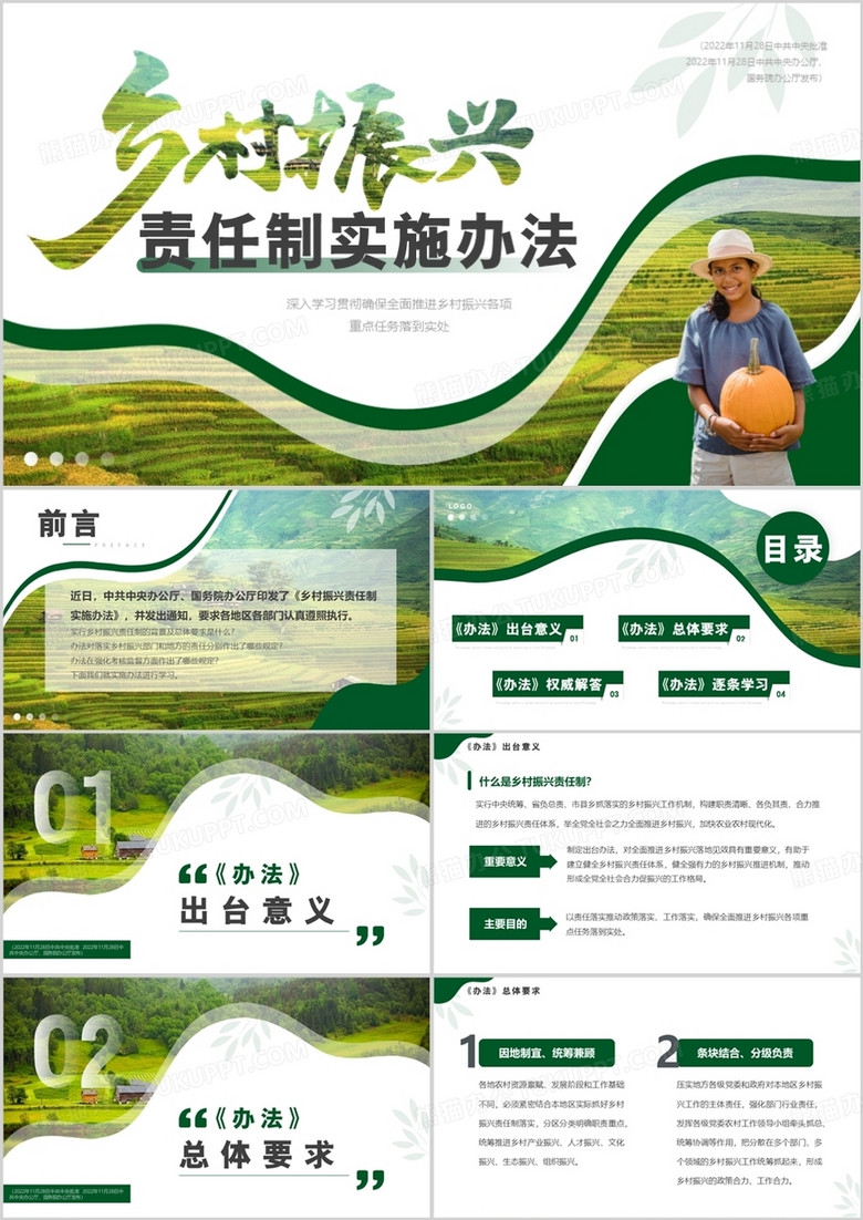 绿色简约风乡村振兴责任制实施办法PPT模板