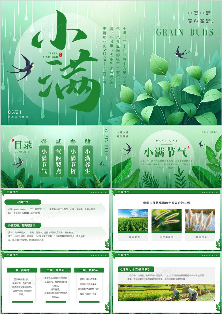 绿色清新风二十四节气之小满PPT模板