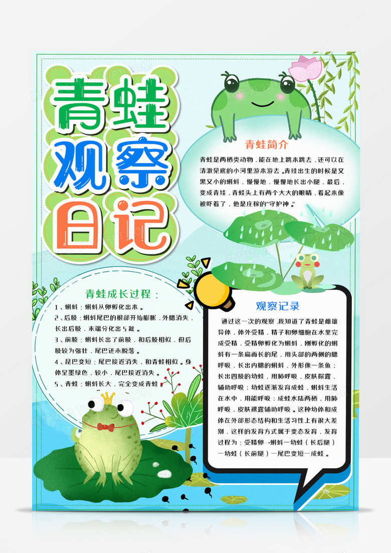 竖版青蛙观察日记手抄报word模板   