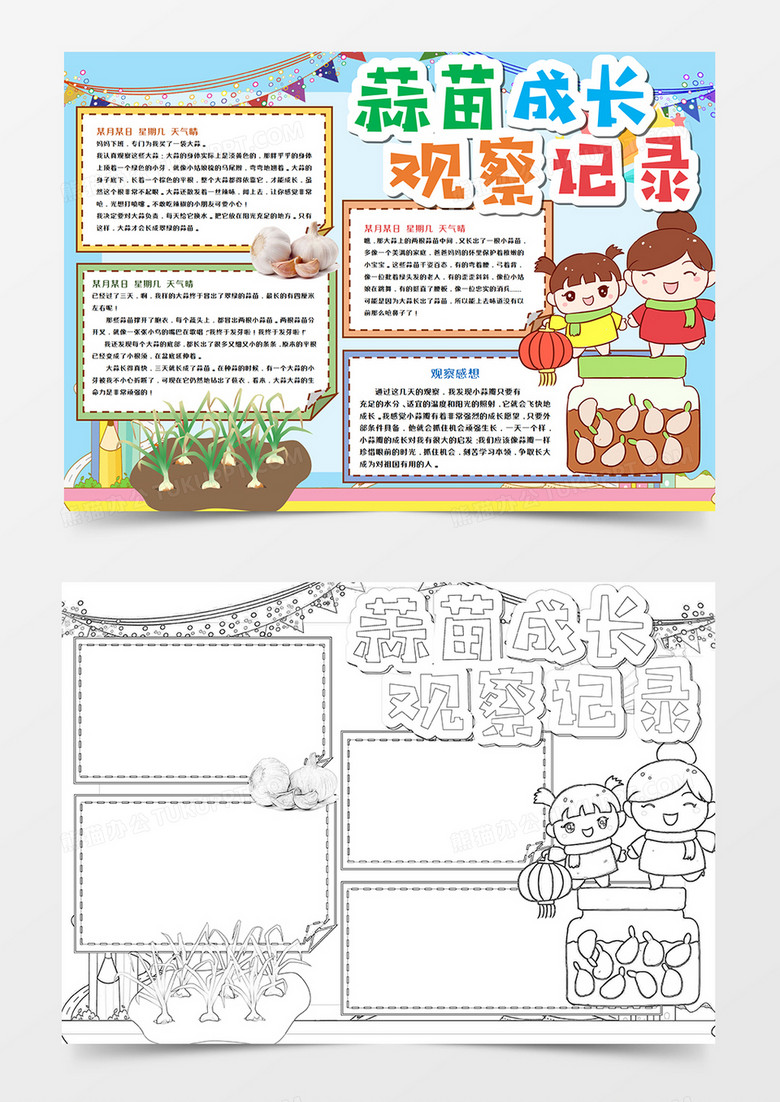 卡通蒜苗觀察日記手抄報(bào)模板      卡通蒜苗觀察日記手抄報(bào)模板