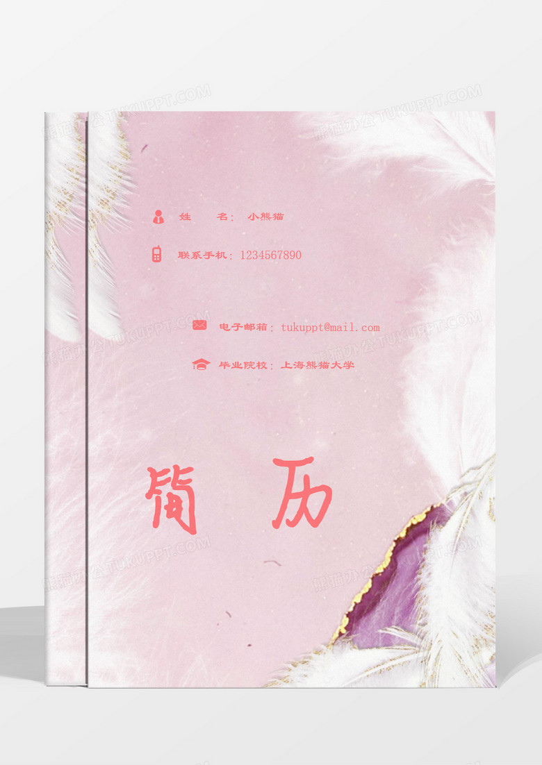 粉色羽毛简洁成套简历淘宝美工word模板