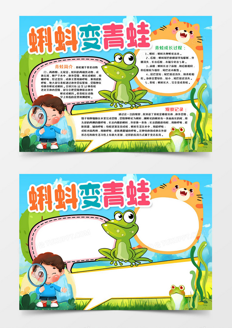蝌蚪青蛙抽纸观察记录word小报宣传