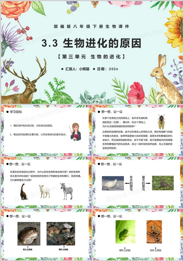 部编版八年级生物下册生物进化的原因课件PPT模板