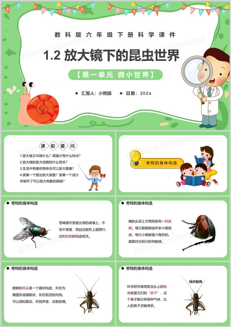 教科版六年级科学下册放大镜下的昆虫世界课件PPT模板