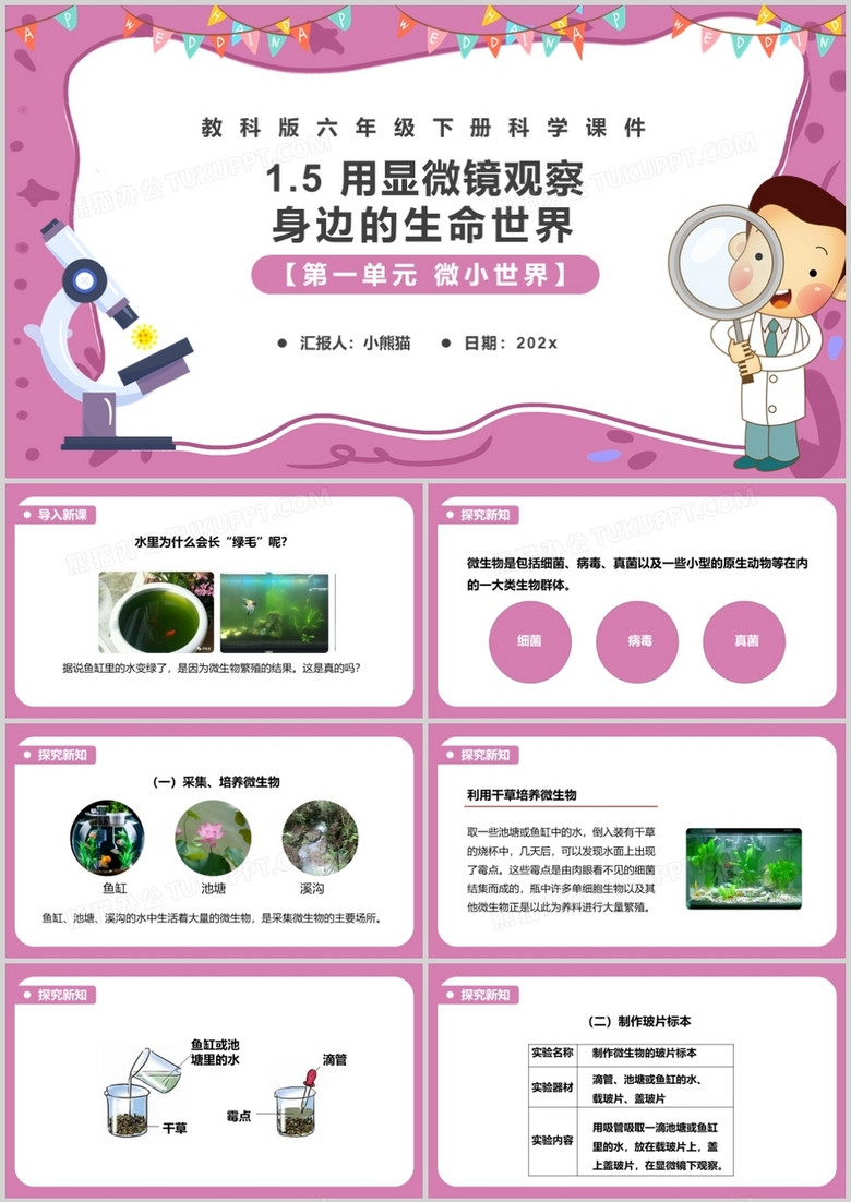 教科版六年级科学下册用显微镜观察身边的生命世界课件PPT模板