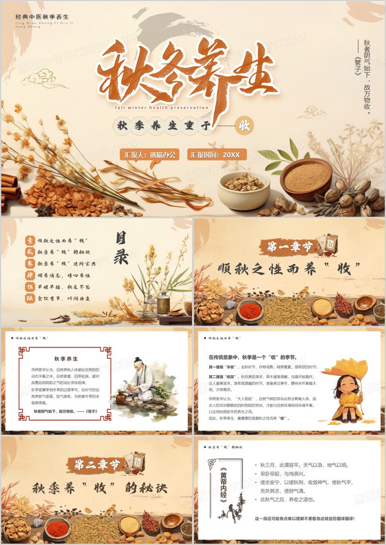 棕色中国风秋季养生宣传PPT模板